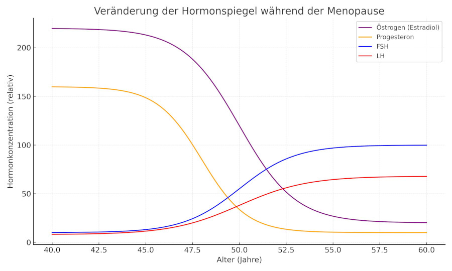 Hormonverlauf in der Menopause
