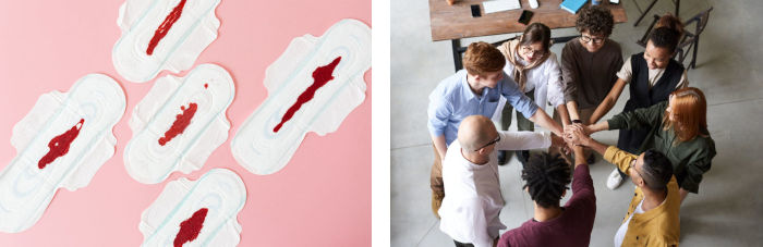 Vagina als Erweiterung der Vulva