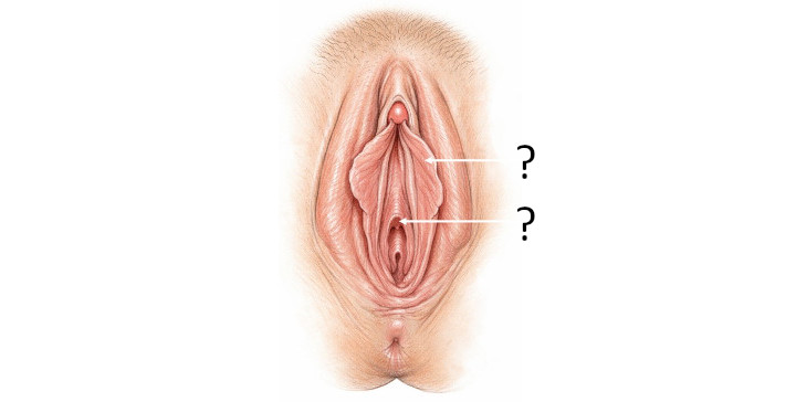 Quizbild-1