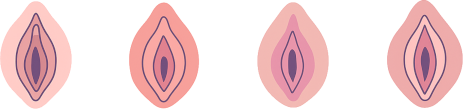 vulva-header-II