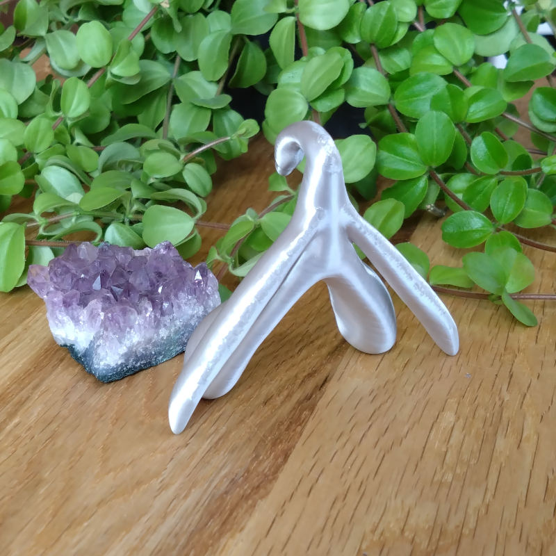 Klitoris-Shiny-Silver-3