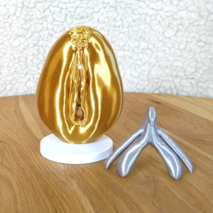 Vulva- und Klitorismodell im Maßstab 1:1 (Gold)